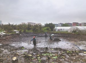 宾县河道鱼塘清淤